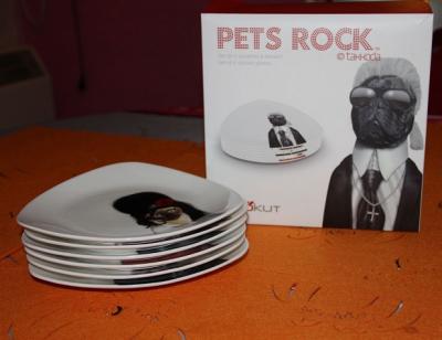 pets-rock-cookut